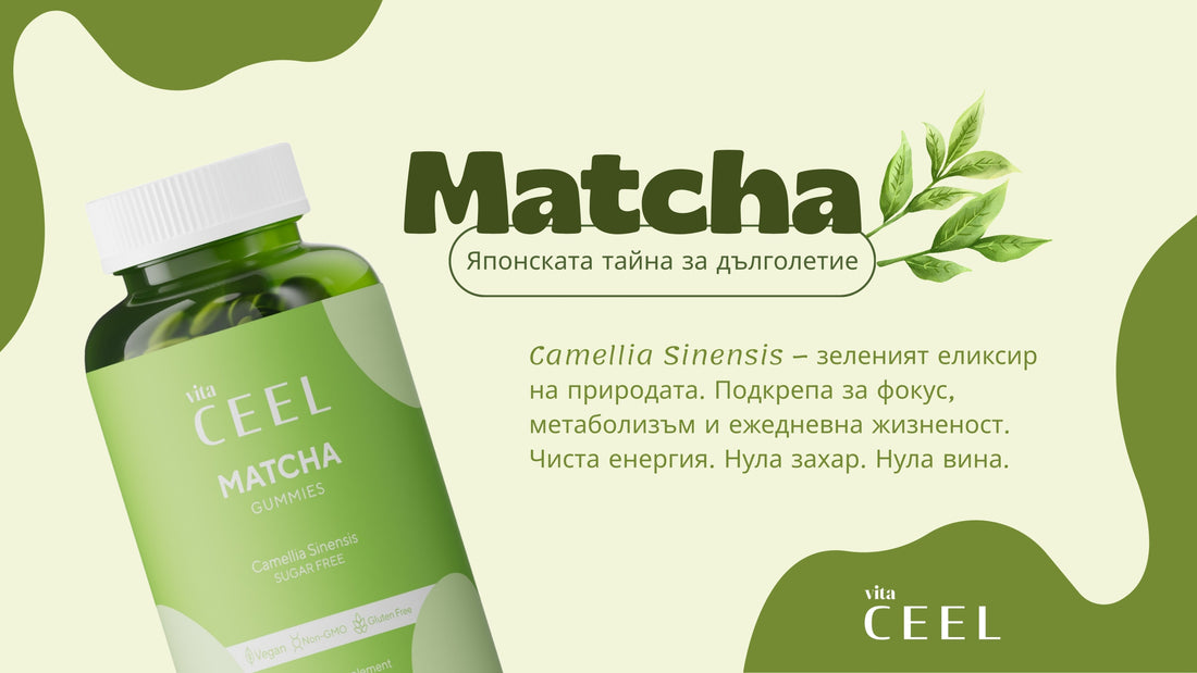 Матча - японската формула за ежедневна енергия, дълголетие и вътрешна хармония