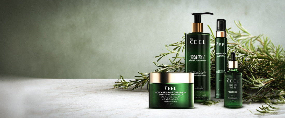 Как да възстановим и преобразим косата си само за един месец ?