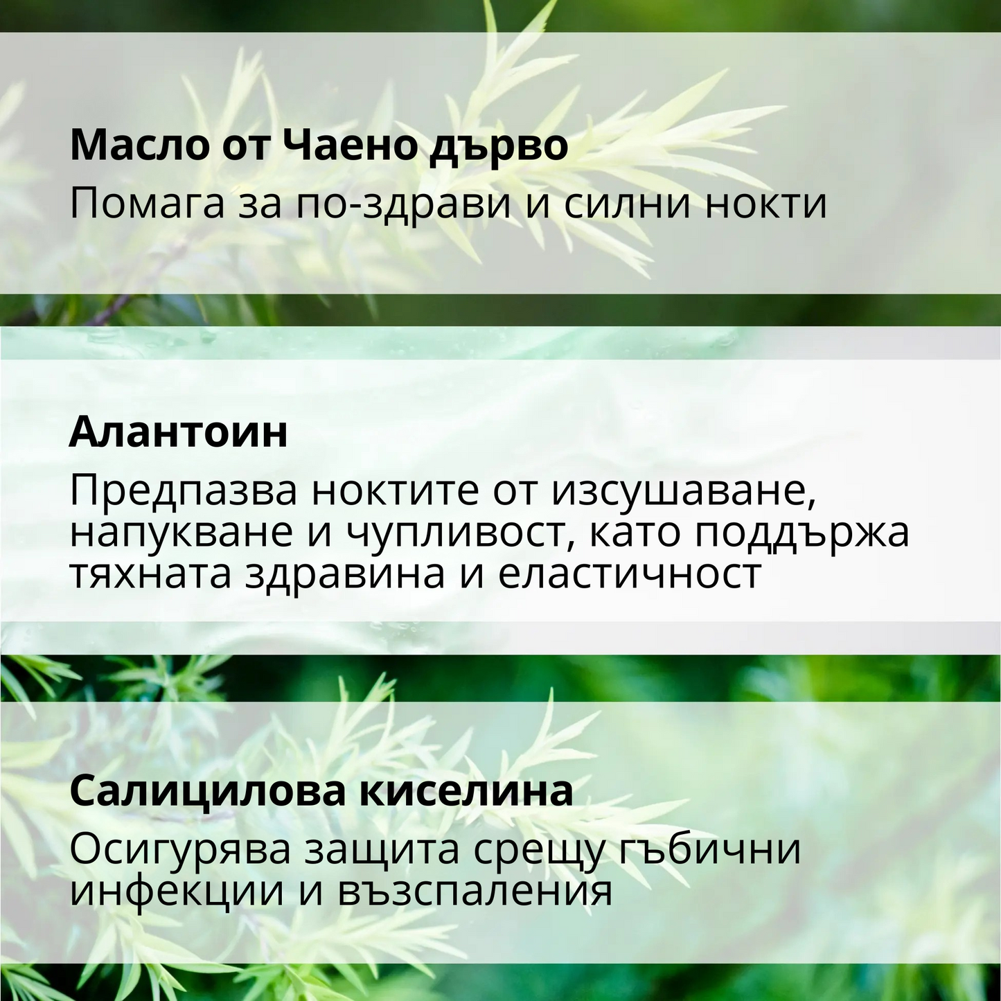 УКРЕПВАЩ СЕРУМ ЗА НОКТИ с масло от Чаено дърво, Салицилова киселина, Алантоин и Глицерин - 30ml
