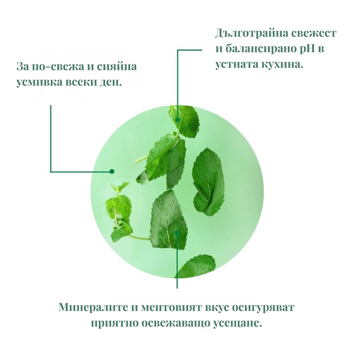 ОСВЕЖАВАЩА ПАСТА ЗА ЗЪБИ с мента - 75g